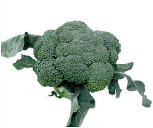 cavolo broccolo