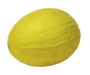 melone giallo